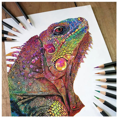 Brustro Metallic Colour Pencils Set