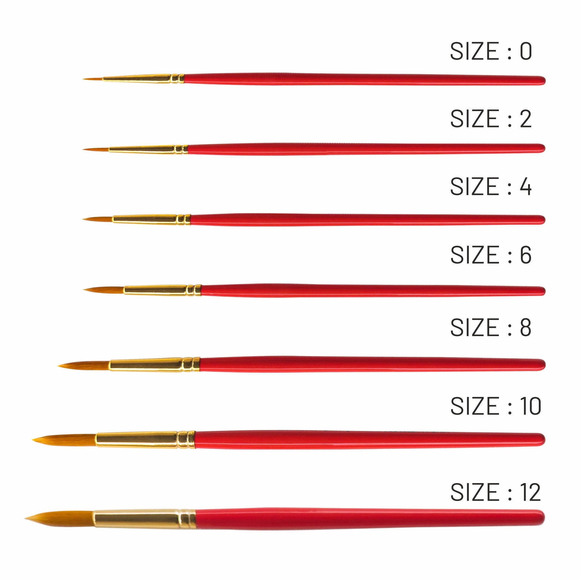 Set of red paint brushes with gold ferrules and handles, labeled with sizes 0 to 12 on a white background.