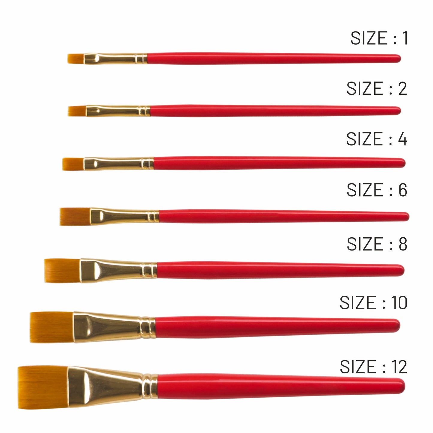 Set of paint brushes with red handles and gold ferrules, labeled by size.