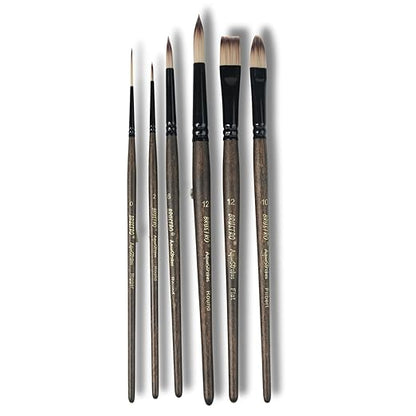 Set of paint brushes with black handles and brown bristles on a white background