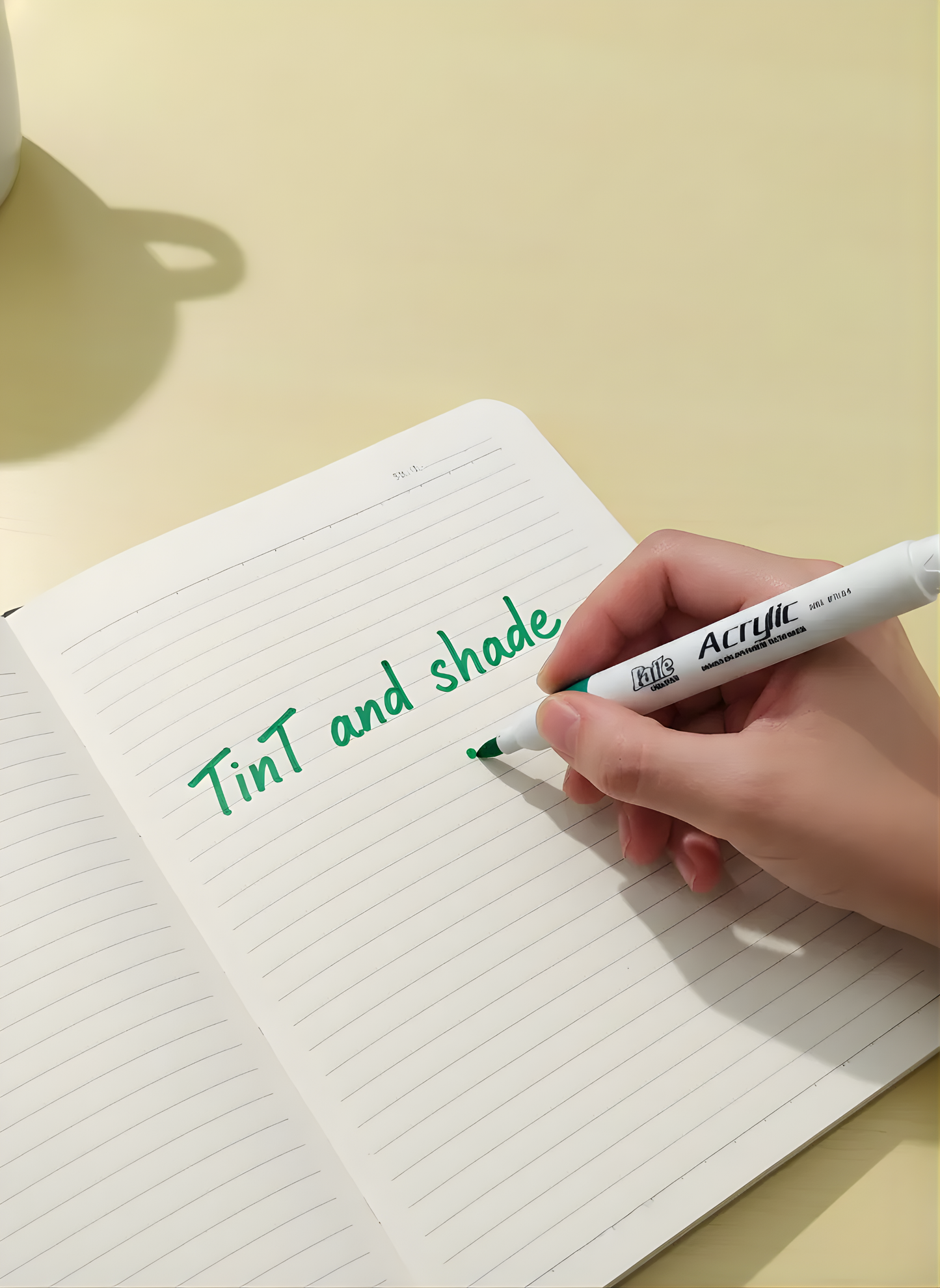 Acrylic Paint Marker - 12 Shades