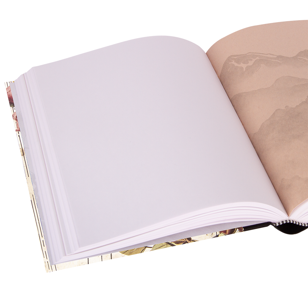 Open book with white pages on a white background
