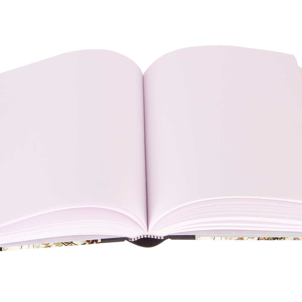 Open book with white pages on a white background