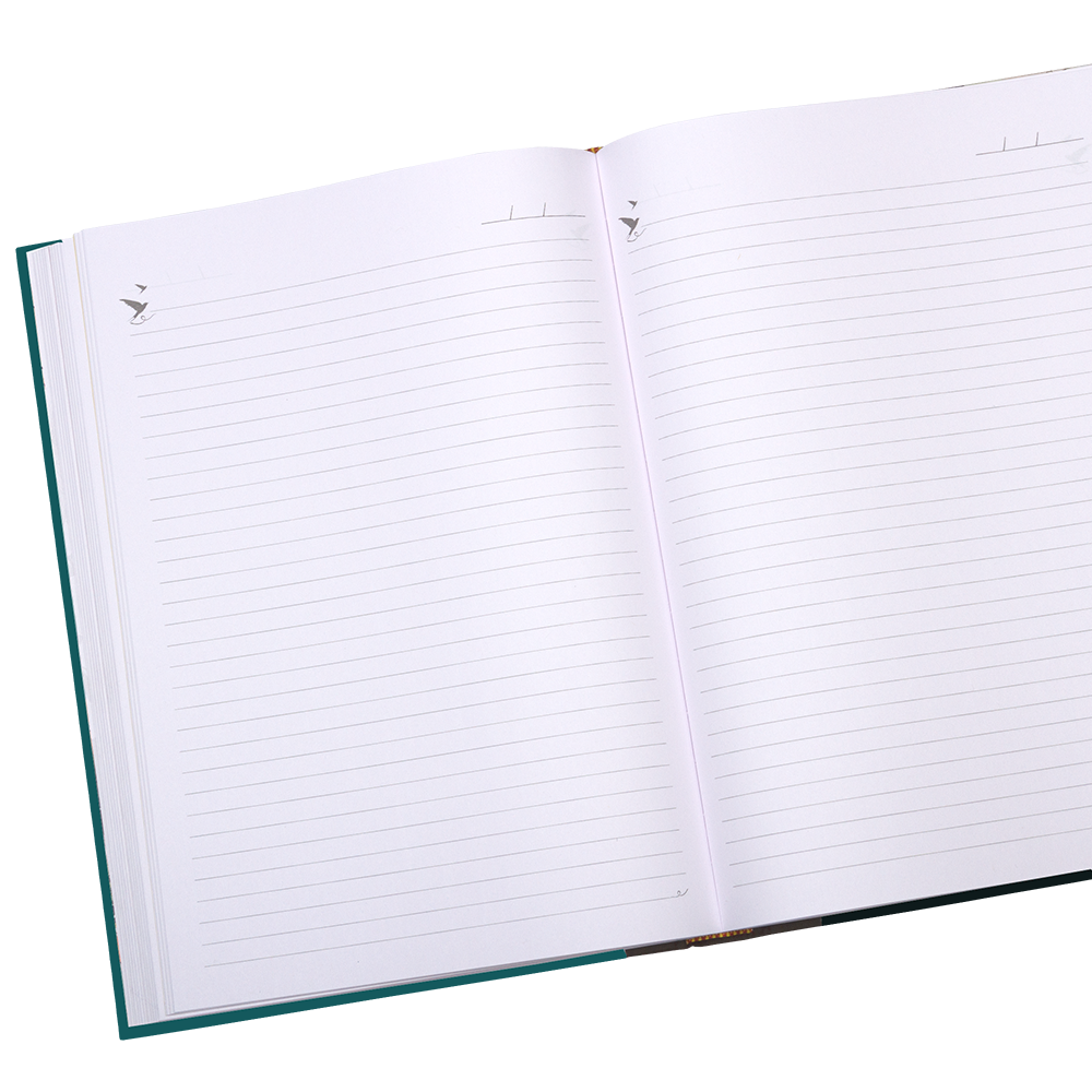 Open notebook with lined pages on a white background