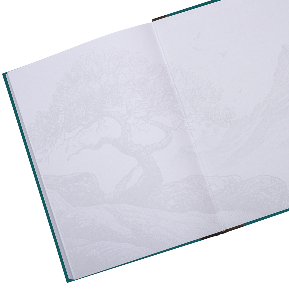 Open book with textured pages on a white background