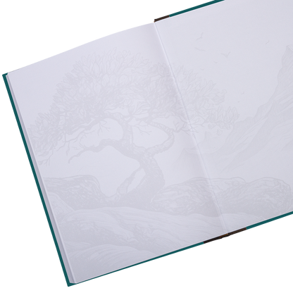 Open book with textured pages on a white background