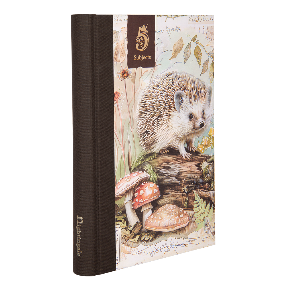 Notebook with a hedgehog illustration on the cover