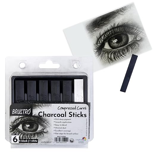 Brustro Compressed Charcoal Sticks - Set of 6 (5 Black & 1 White Stick)