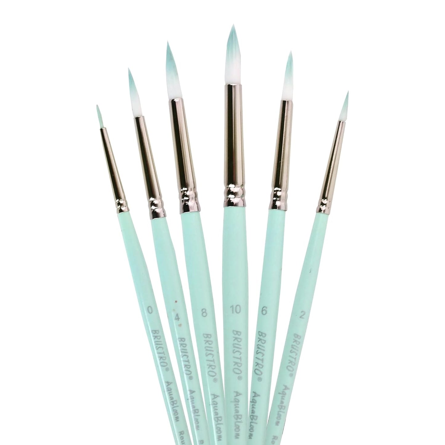 Set of six paint brushes with light blue handles on a white background
