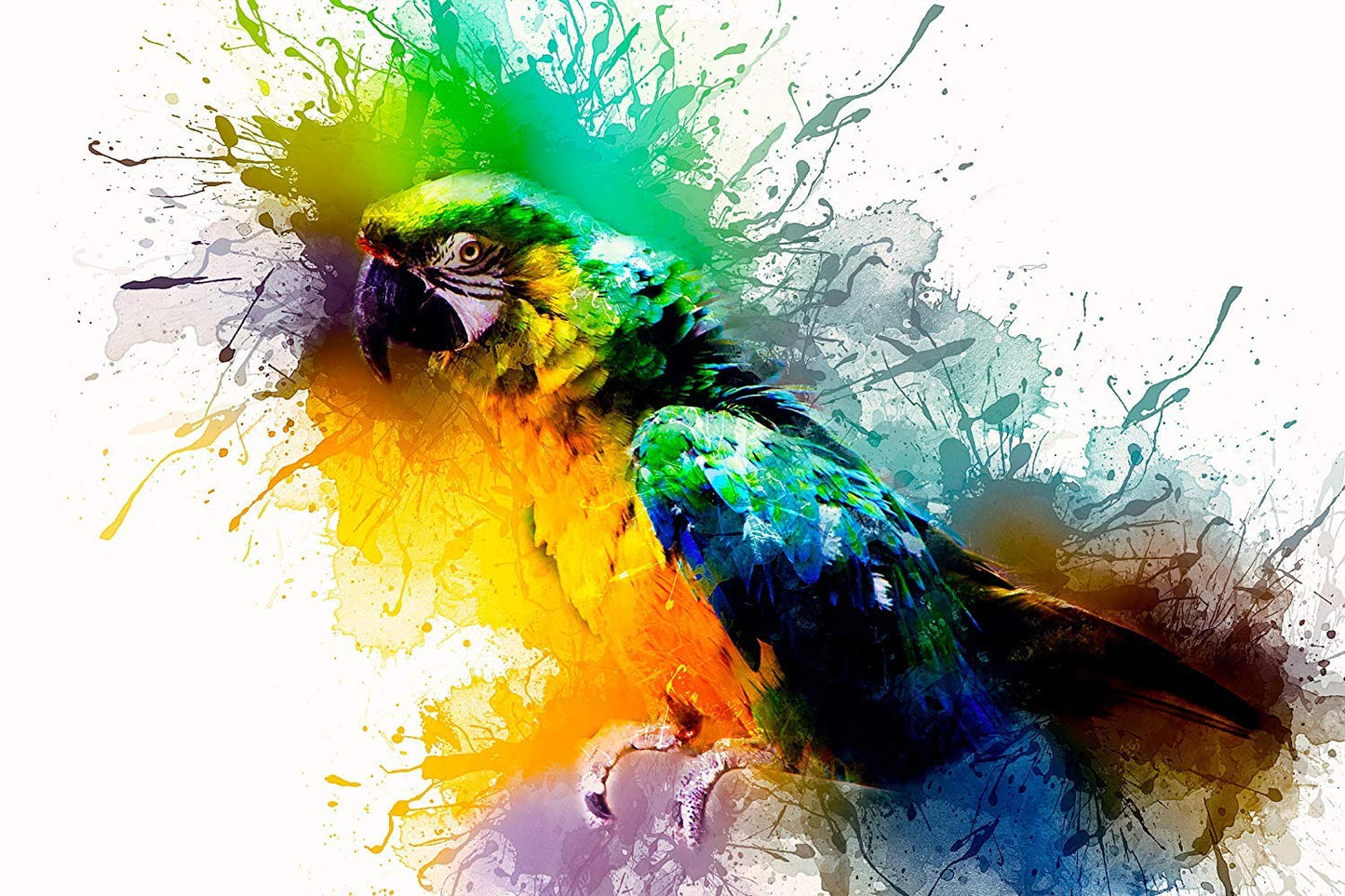 Colorful parrot illustration with abstract paint splashes on a white background