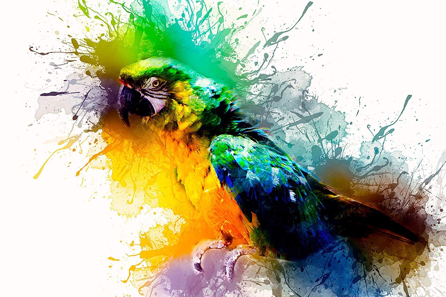 Colorful parrot illustration with abstract paint splashes on a white background