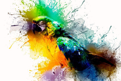 Colorful parrot illustration with abstract paint splashes on a white background