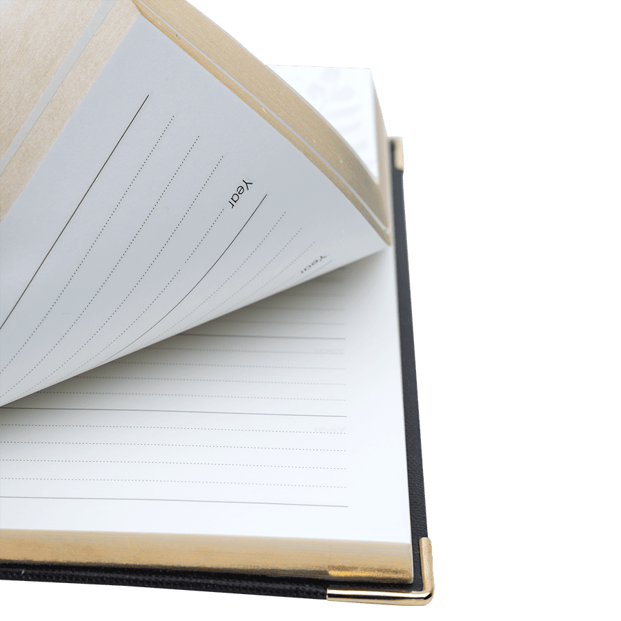 Open notebook with lined pages on a transparent background
