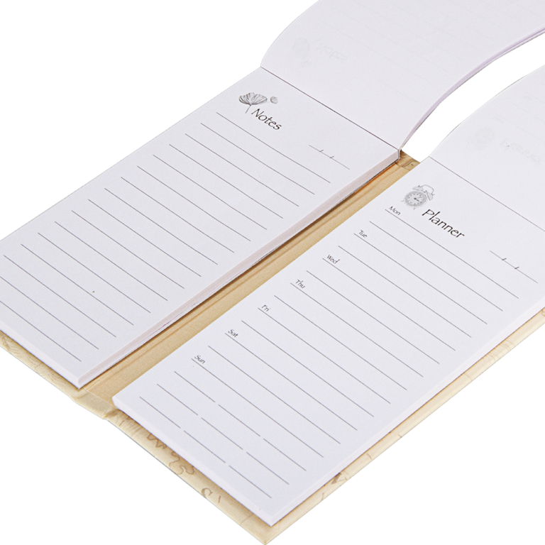 Two open notebooks with lined pages on a white background