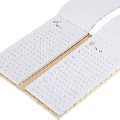 Two open notebooks with lined pages on a white background