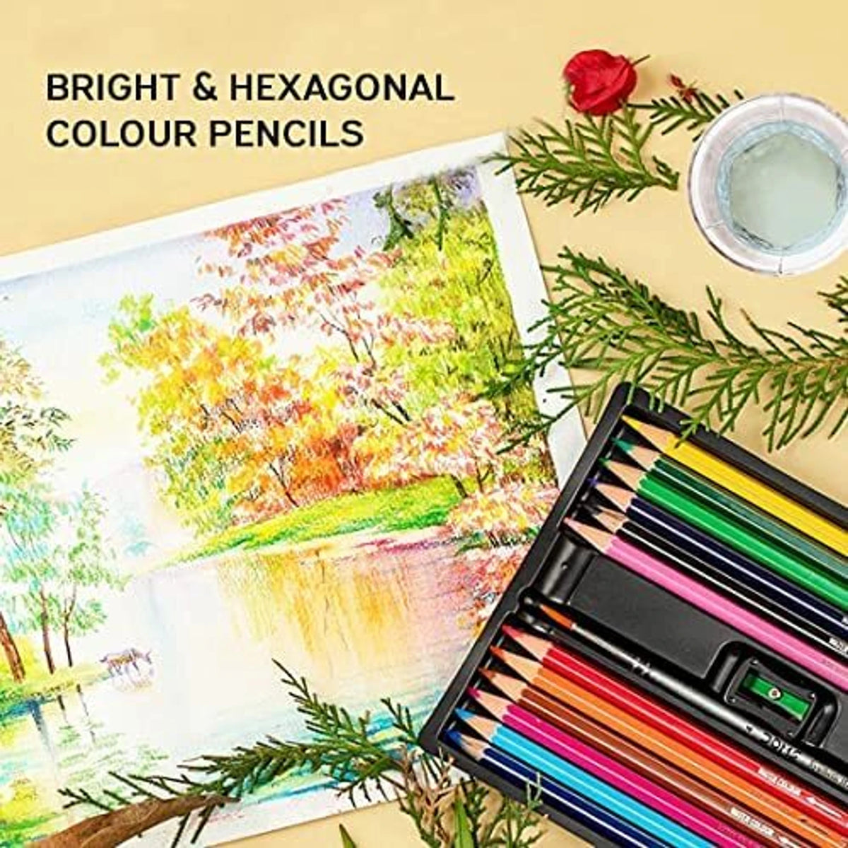 DOMS Water Color Pencil Hexagon Shaped Color Pencils | 12 Shades